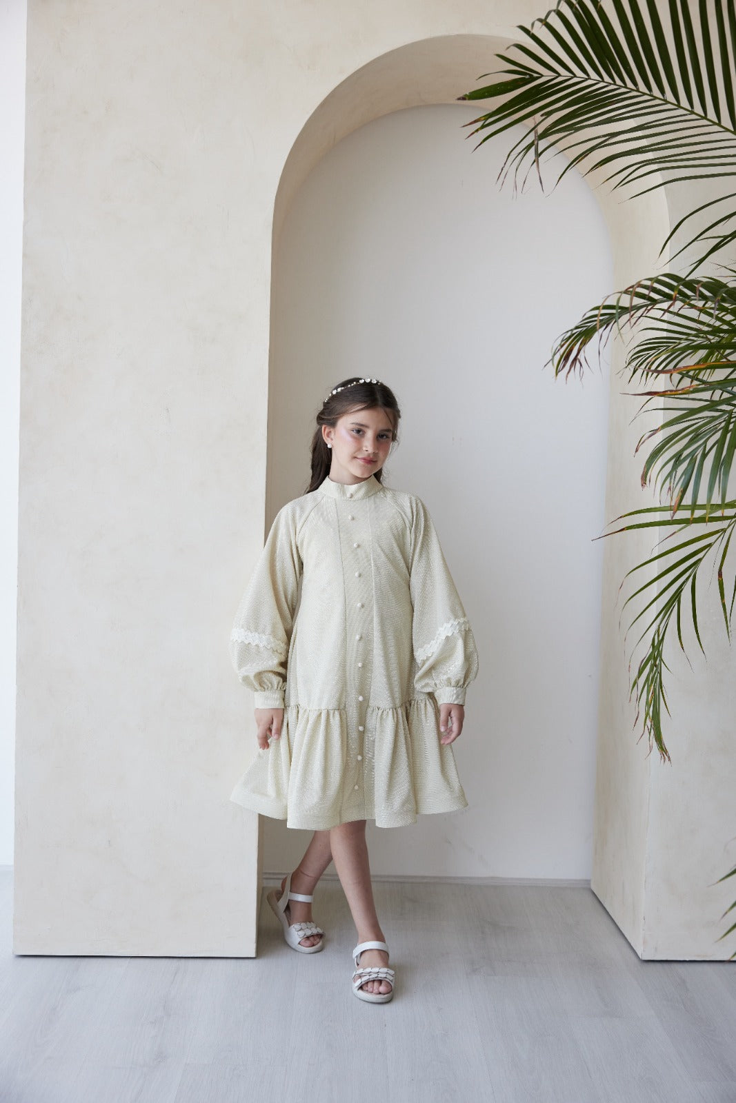 Long Puffy Sleeves Dress