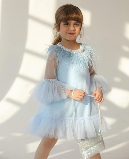 Tulle Dress with Feathers and Embroidered Stones