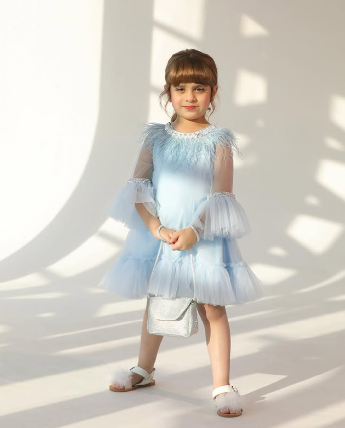 Tulle Dress with Feathers and Embroidered Stones
