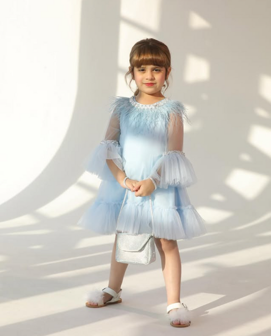 Tulle Dress with Feathers and Embroidered Stones